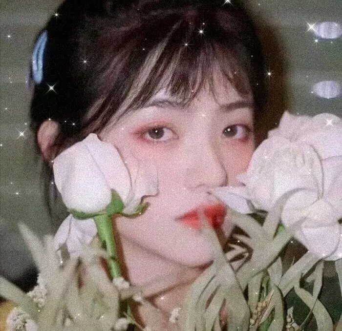 人形师 排行封面