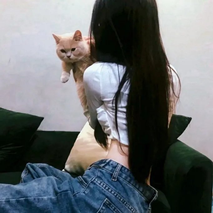 乌鸦之日 在线观看封面