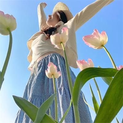 关键公敌 排行封面